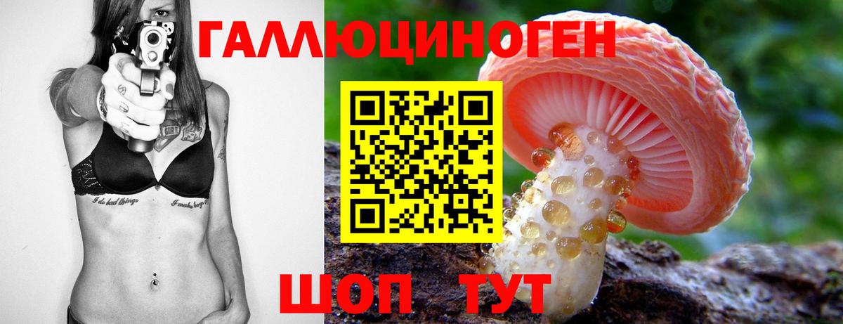 Псилоцибиновые грибы Psilocybe  магазин продажи   Ейск  Вход с VPN 